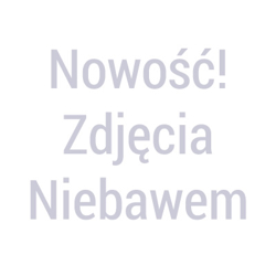 Domyślna nazwa