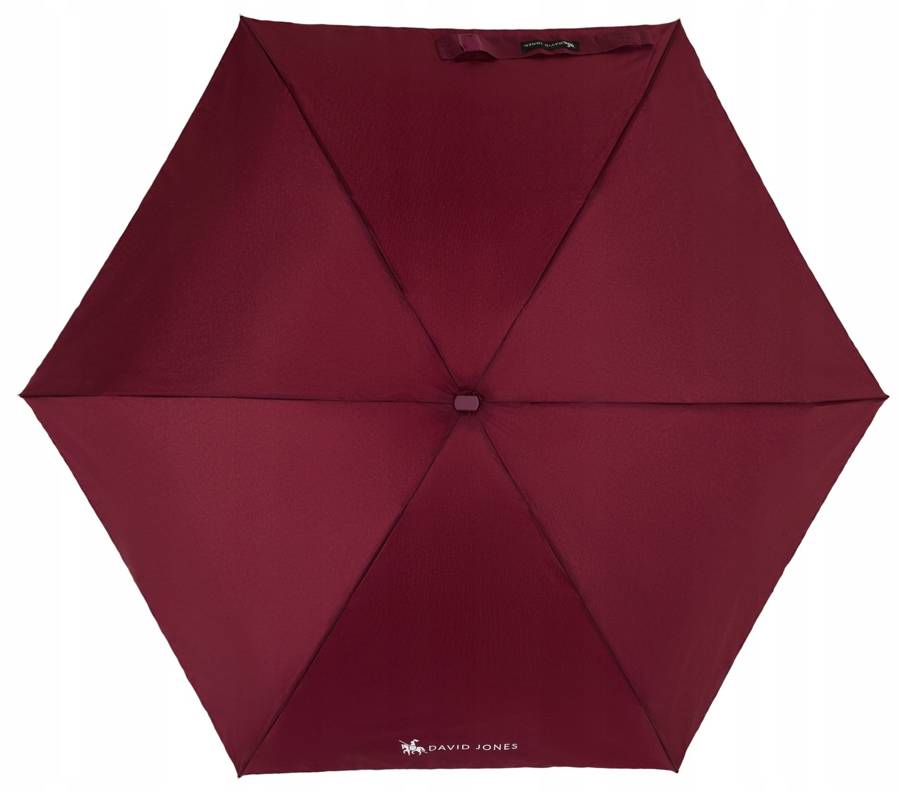 A small, compact umbrella in an elegant cover - David Jones