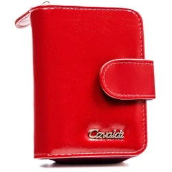 A neat, roomy women's wallet by 4U Cavaldi