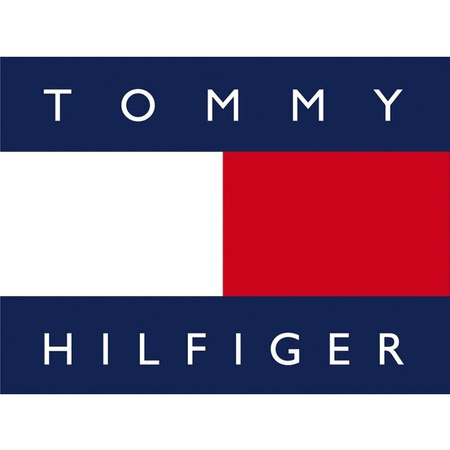 TOMMY HILFIGER LEONARD MEN'S WATCH 1791985 (zf089c) + BOX