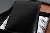 Beltimore G95 black leather slim card document case