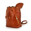 Urban Leather Backpack Elegant and Luxurious