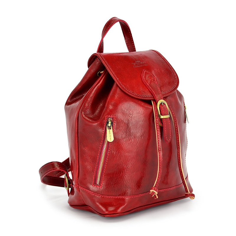 Urban Leather Backpack Elegant and Luxurious