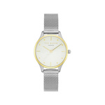 WATCH TED BAKER WOMAN TE50704001 (30MM)