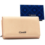 A roomy women's eco-leather wallet from 4U Cavaldi