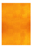 CAVALLI CLASS WOMEN&#39;S BEACH TOWEL ORANGE