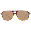 SUNGLASSES HACKETT MAN HSB86512756 (Szkło/Zausznik/Mostek) 56/16/140 mm)