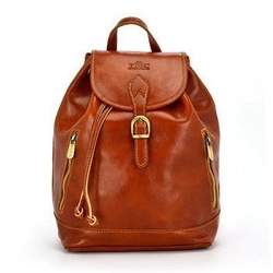 Urban Leather Backpack Elegant and Luxurious