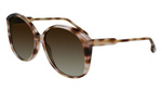 SUNGLASSES VICTORIA BECKHAM WOMEN VB629S-603 (Szkło/Zausznik/Mostek) 61/16/145 mm)