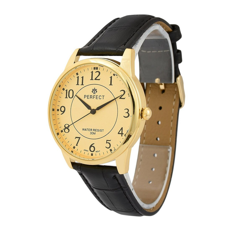 Men's watch quartz gold classic leather strap C426