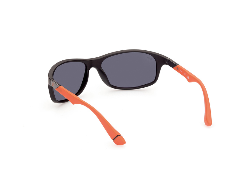 SUNGLASSES WEB EYEWEAR MAN WE0294-6405C (Lens/Bridge/Temple) 64/17/125 mm)